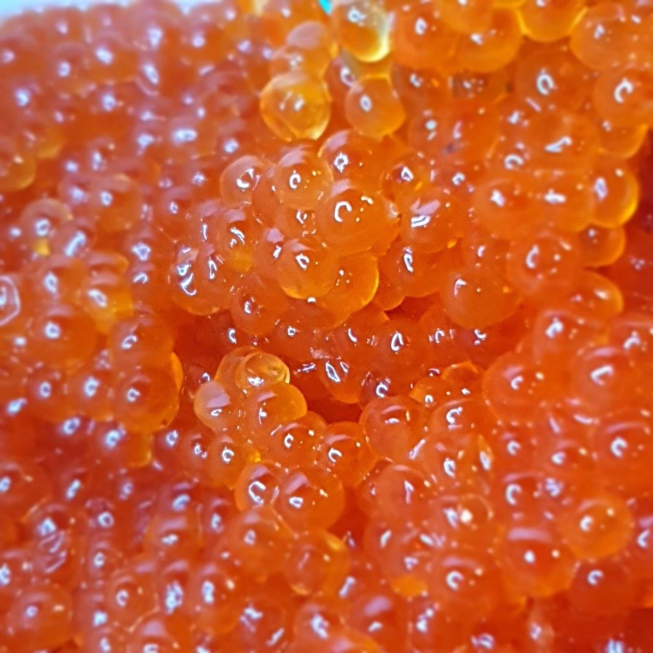 Червона ікра форелі ПРЕМІУМ 500г (натуральна)