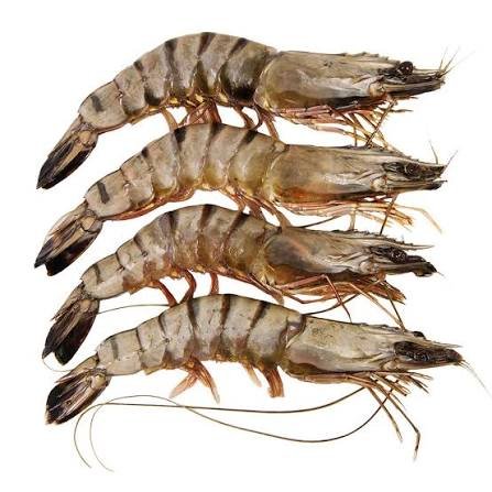 Креветки тигрові 2-4шт/1кг